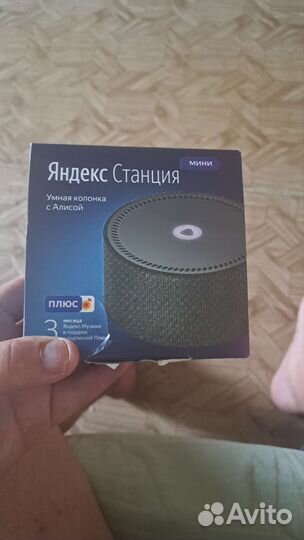 Колонка алиса мини