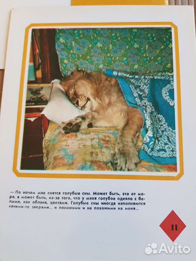 Набор открыток ссср, раритет