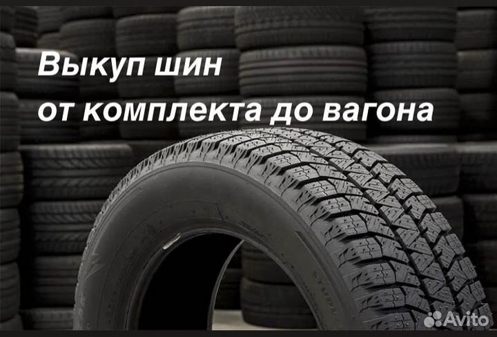 Rapid P309 175/70 R14 88H