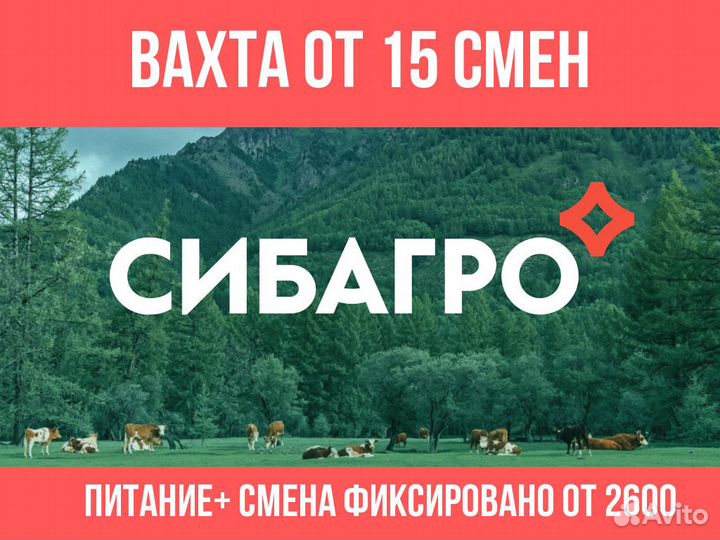 Разнорабочий/ Мойщик емкостей и тары. питание