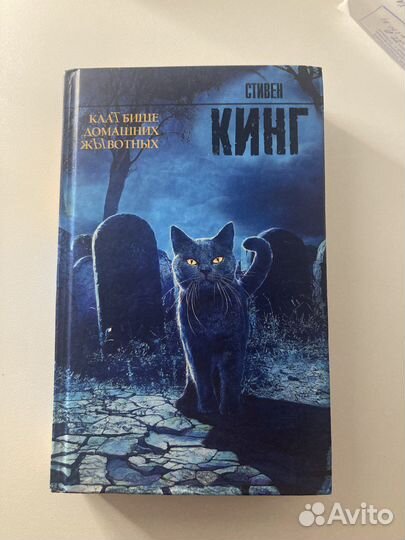 Книга Стивен Кинг «Кладбище домашних животных»