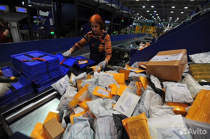 Сортировщик (без опыта)