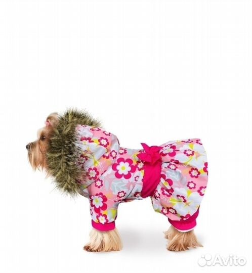 Одежда для собаки