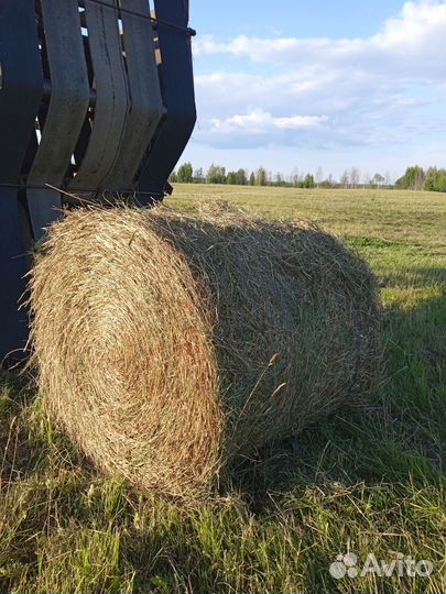Сено в рулонах