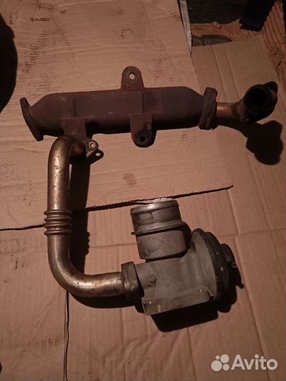 Егр Санг ssangyong Кайрон