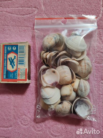 Ракушки для творчества, аквариума