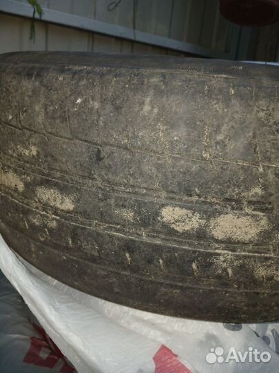 Triangle TR956 205/55 R16 91T
