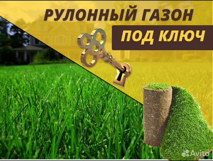 Газон рулонный от производителя спортивный