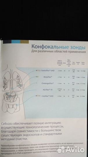 Эндоскопический лазерный микроскоп, Франция