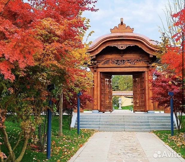 Qr код японский сад