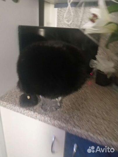 Шапка женская