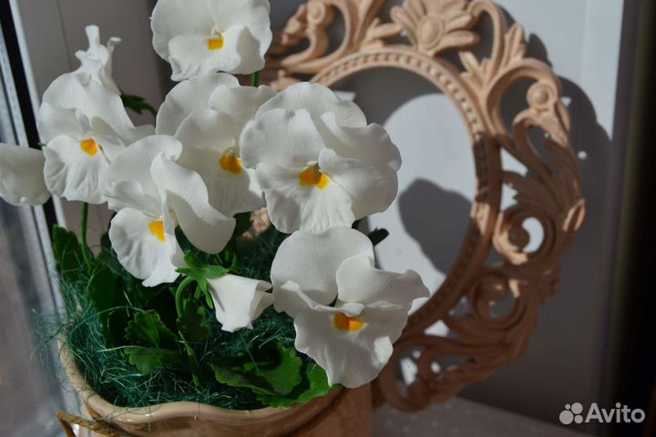 Анютины глазки