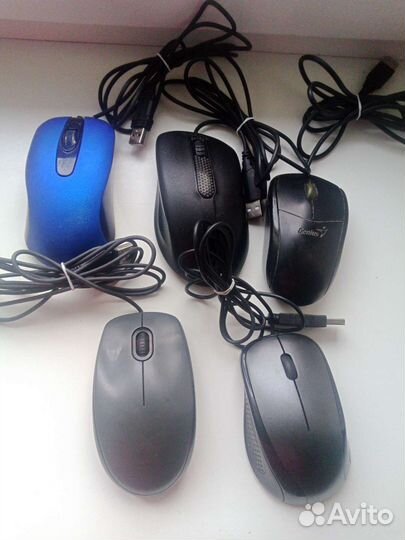 Мышка для компьютера