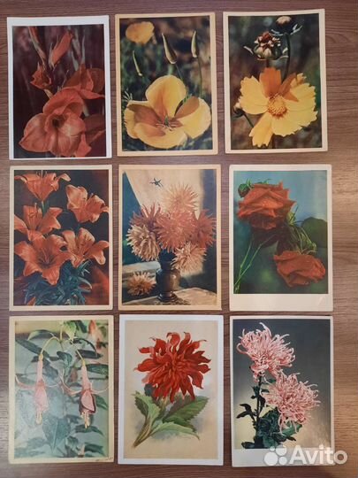 Открытки СССР