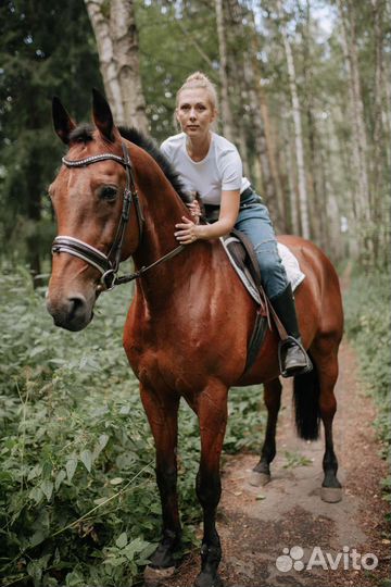 Аренда/продажа/обмен/иппотерапия. Мск