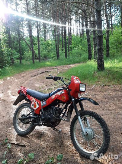 Зид Пилот 50