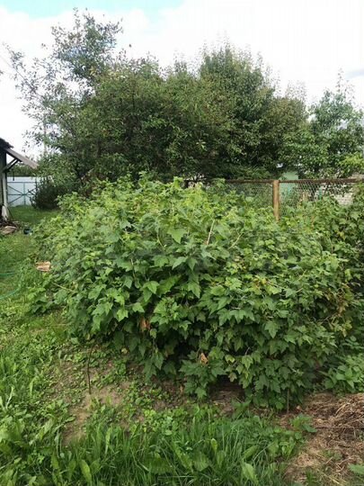 Участок 5 сот. (ИЖС)