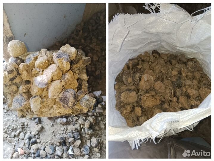 Продам конский навоз