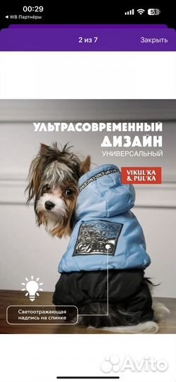 Зимний комбинезон для собак мелких пород