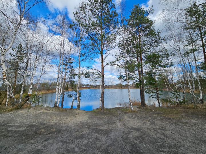 Дом 80 м² на участке 12 сот.