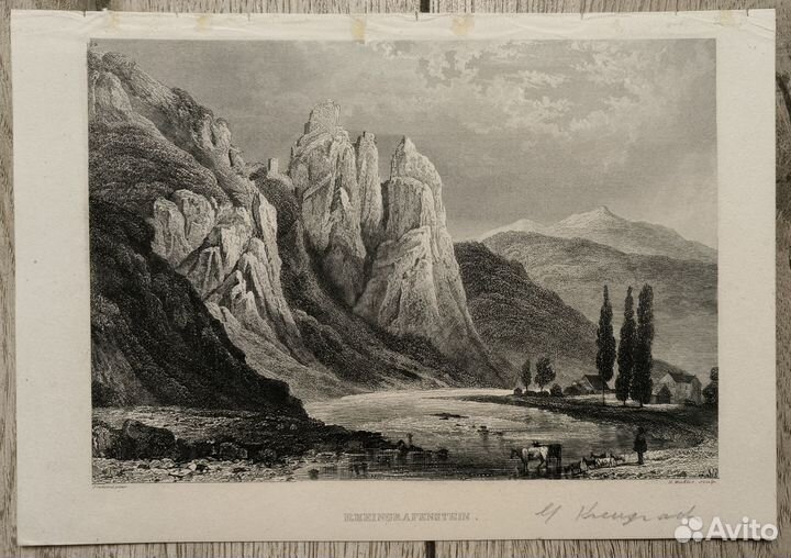 Старинная гравюра 19 век антиквариат пейзаж