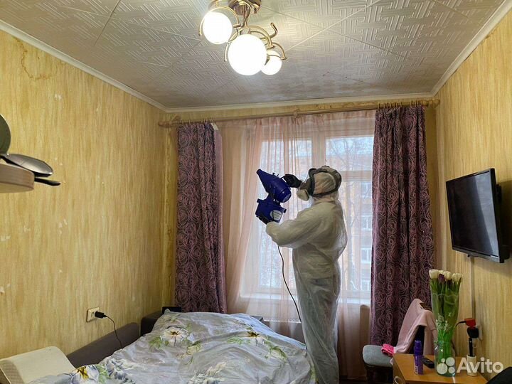 Устранение запахов