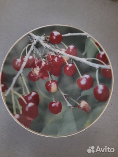 Чайная пара в коробке