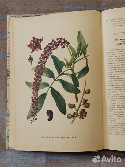 Лекарственные растения