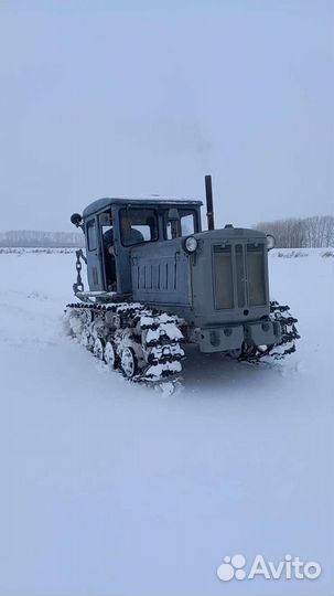 Трактор ХТЗ Т-74, 1981