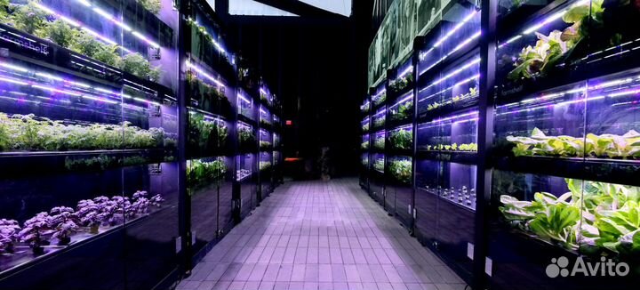 Оборудование для выращивания микрозелени