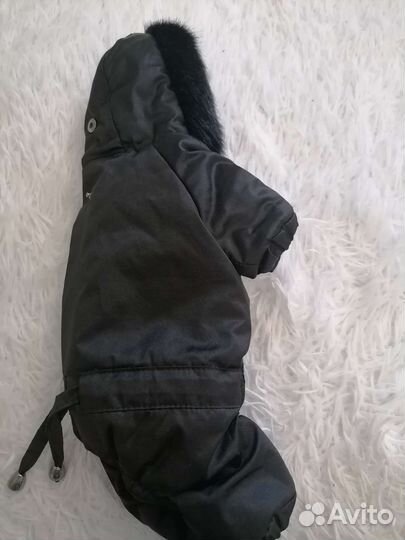 Комбинезон для собак мелких пород