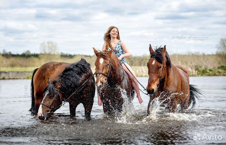 Конный спорт, занятия и прогулки