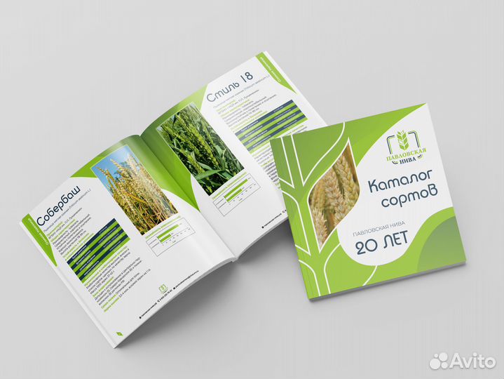 Верстка рекламно-полиграфической продукции