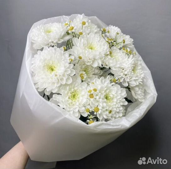 Цветы хризантемы букеты с доставкой