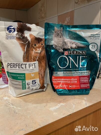 Сухой корм для кошек