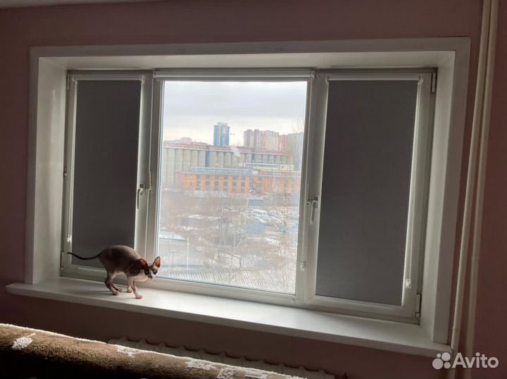 Рулонные шторы