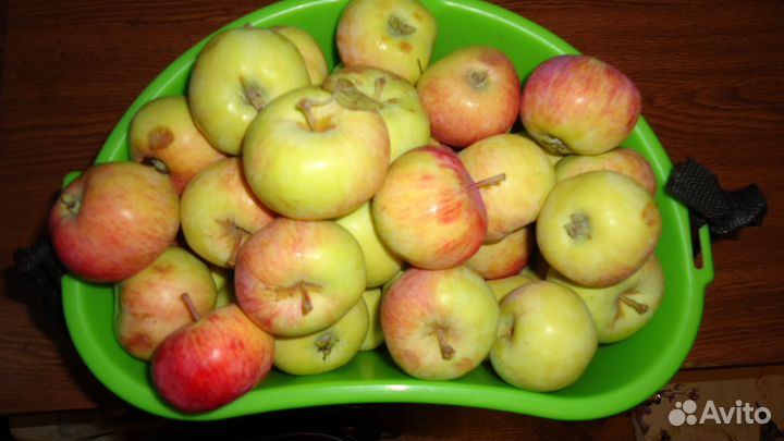 Яблочки дачные и черноплодка стоп нет в наличии