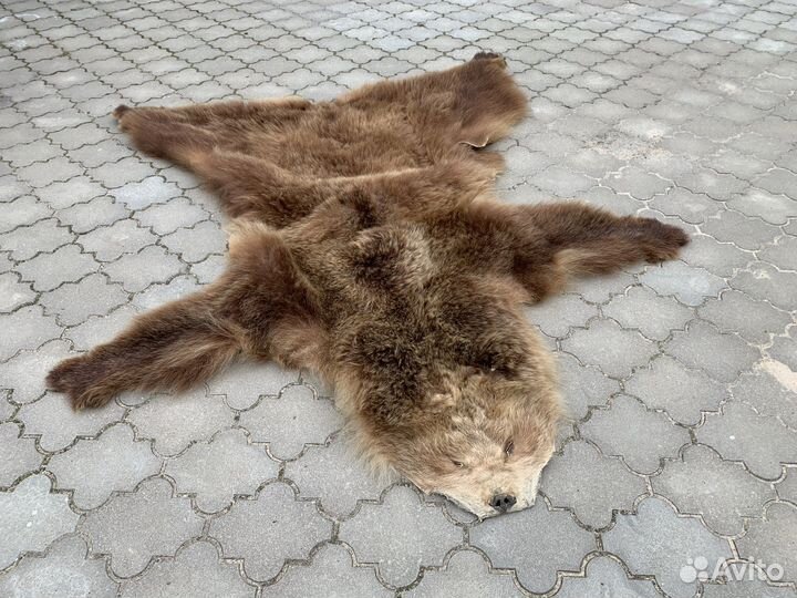 Шкура медведя имитация