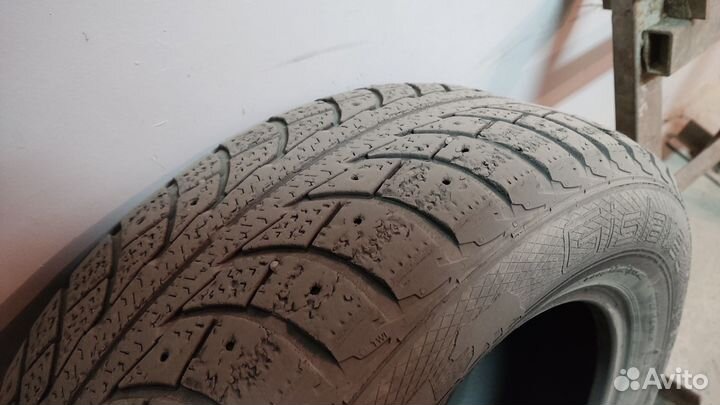 Gislaved Nord Frost 5 195/65 R15