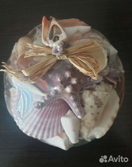 Набор морских ракушки новый