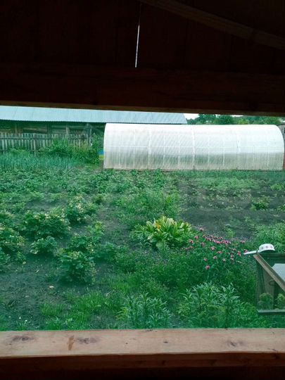 Дом 44 м² на участке 16 сот.