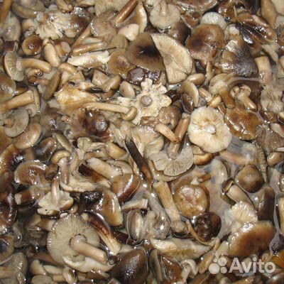 Грибы сушёные и солено-отварные