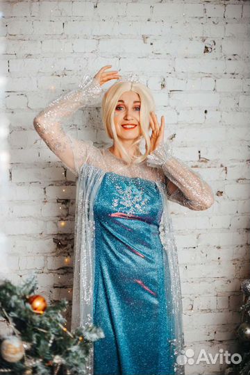 Аниматор, Серебряное шоу в подарок