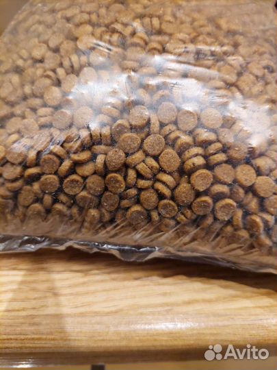 Корм для котят monge