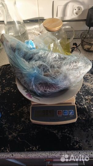 Хариус, улов сентябрь 2024