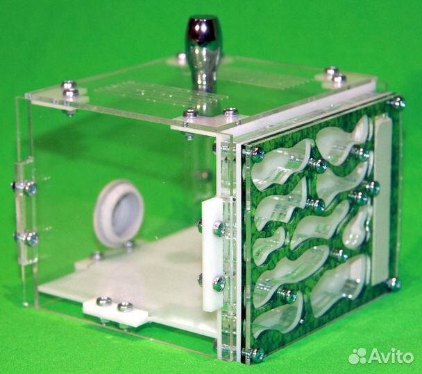 Муравьиная ферма (формикарий) green