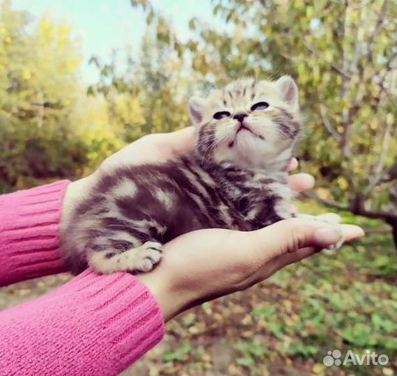 Мраморные плюшечки