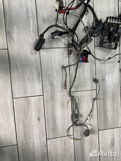 Проводка подкапотная Шкода Октавия А7