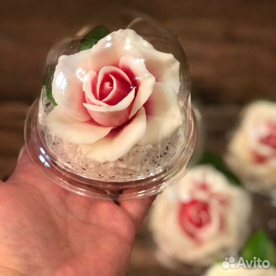 Роза в куполе