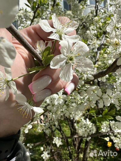 Маникюр и педикюр